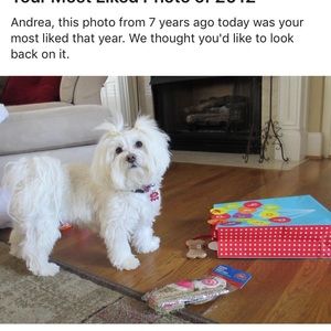 Meet your Posher, Andrea